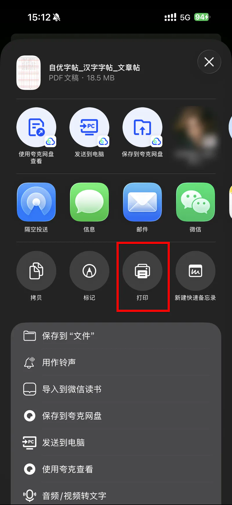 iPhone分享菜单中选择打印图标